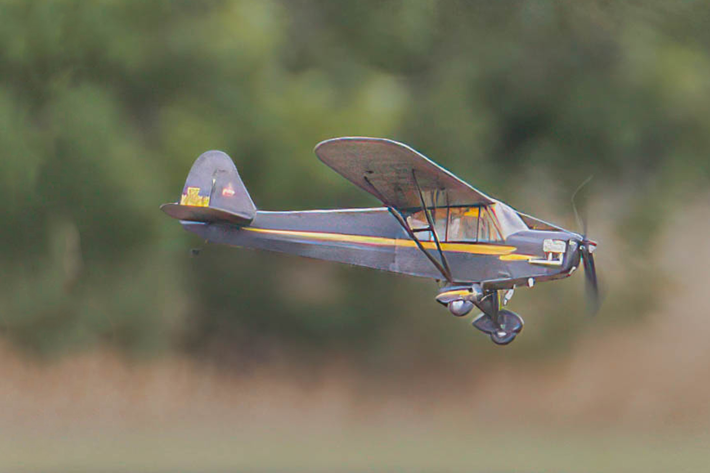 Ricky Bould Piper Cub 2nd in Open Rubber /Co2/Electric/Kit Scale 2025 Flying Aces. A Tony Martin photo.