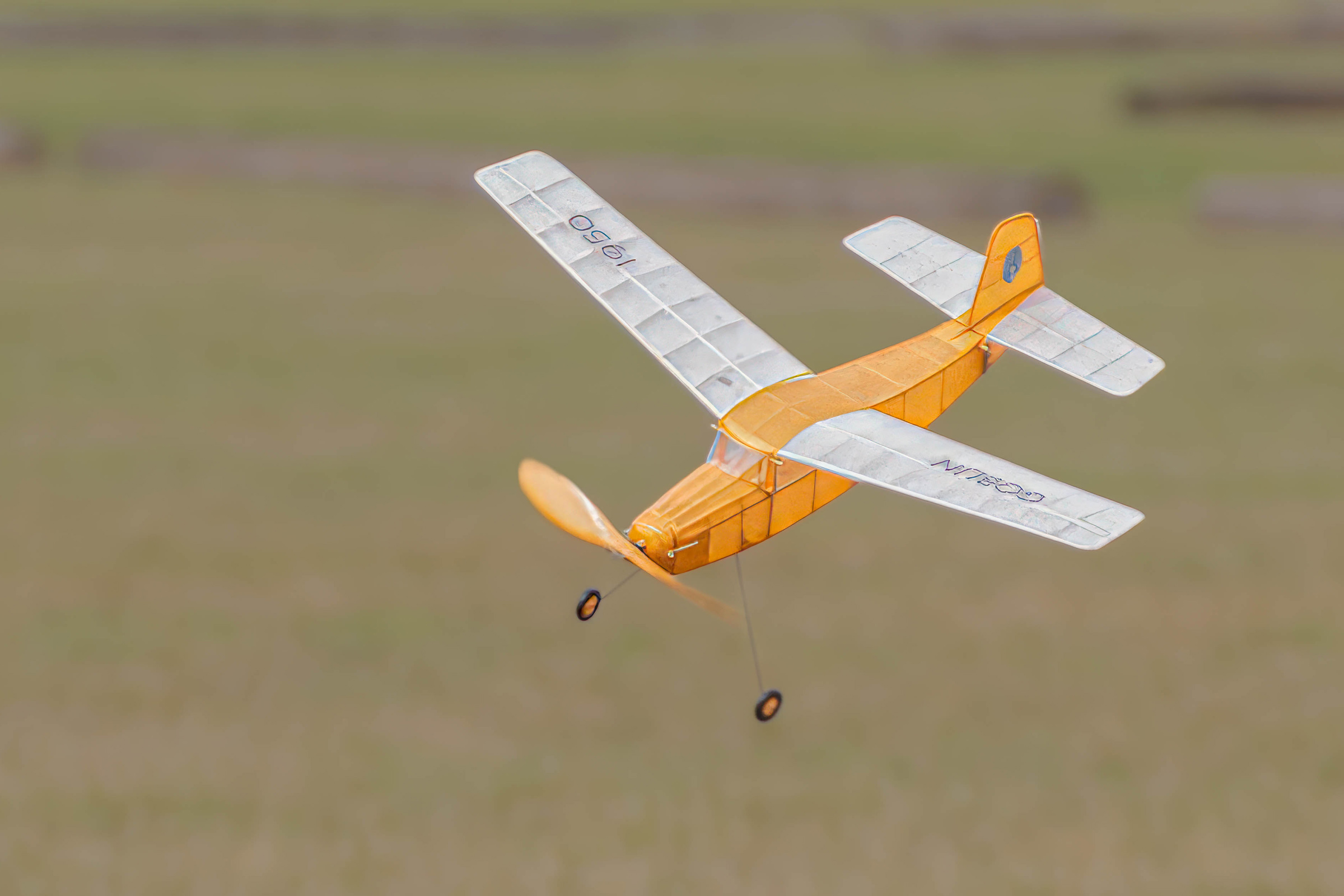 Another great Tony Martin photo of a rubber powered Frog Goblin 2025 Flying Aces.